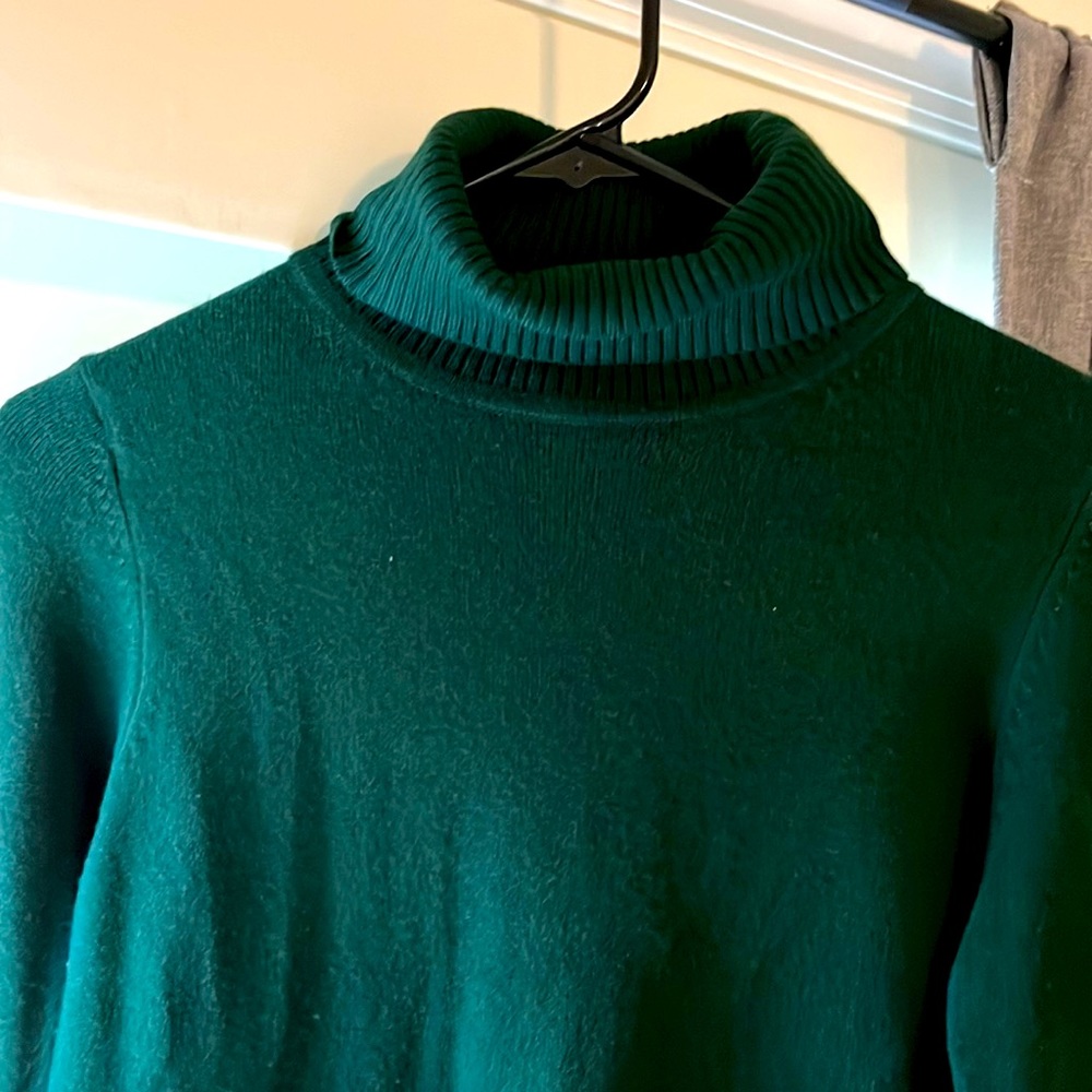 French connection turtle neck